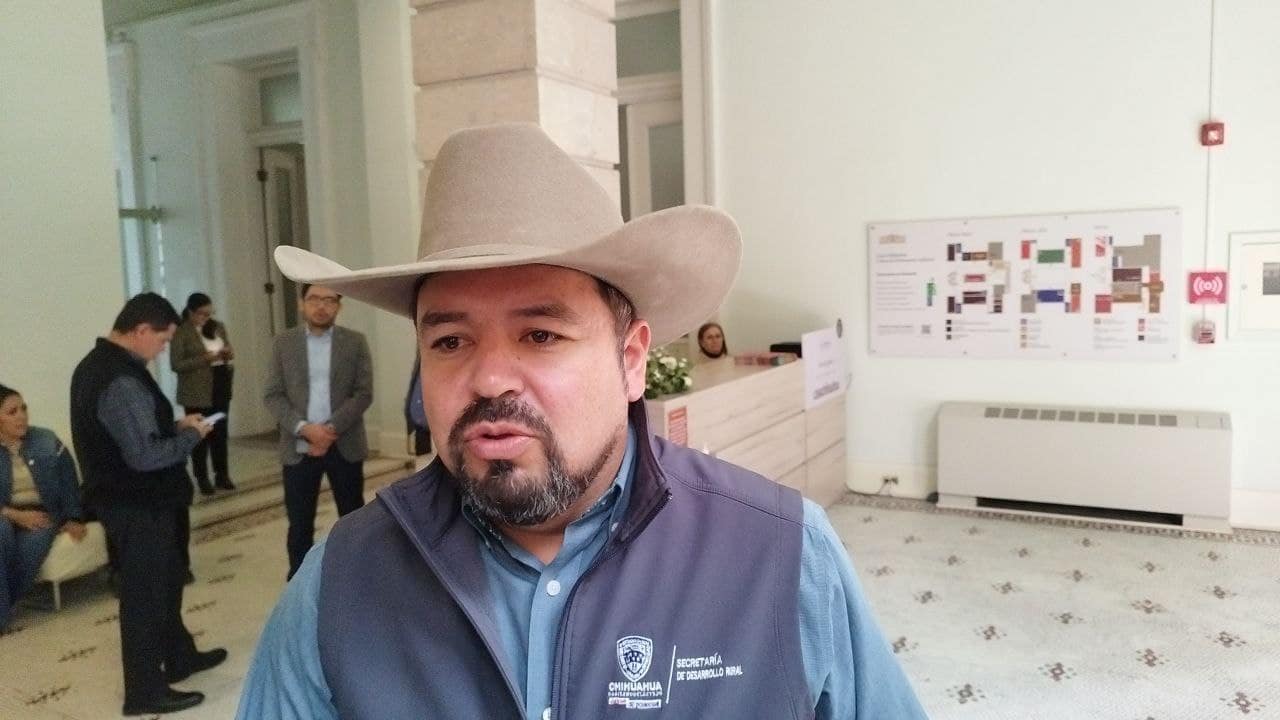 Espera Chihuahua recibir esta misma semana del Gobierno Federal el nuevo protocolo contra el gusano barrenador para reiniciar la exportación ganadera