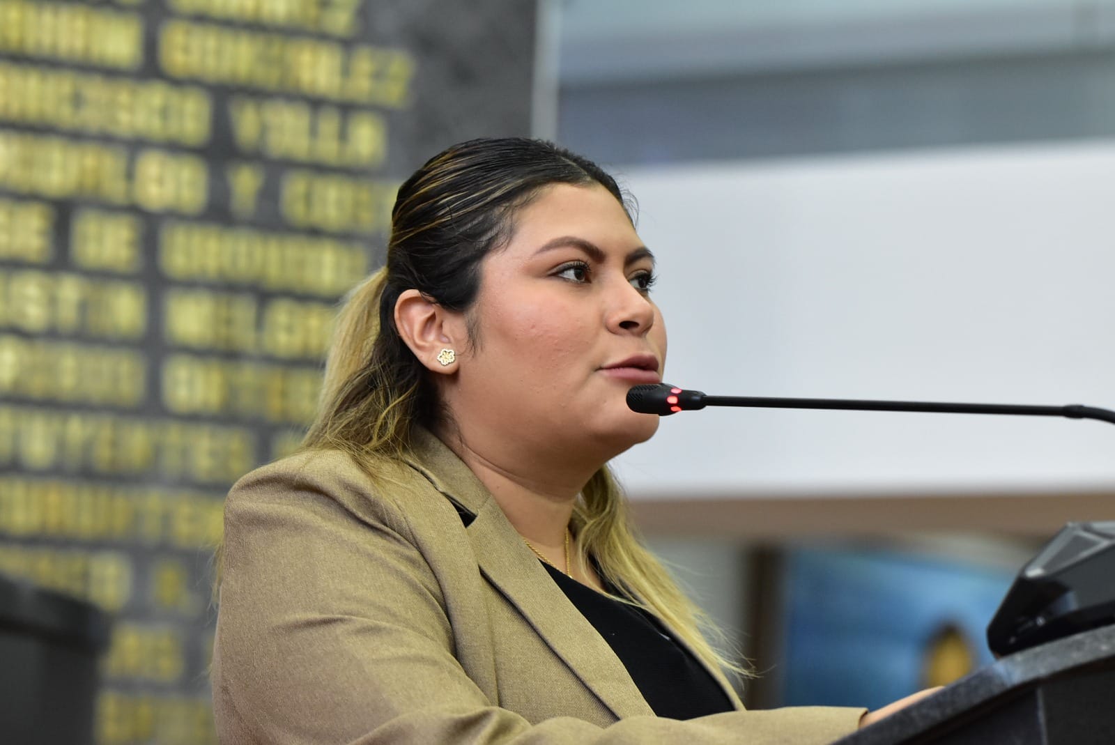 Va Irlanda Márquez por matrimonio igualitario; reconoce deuda histórica