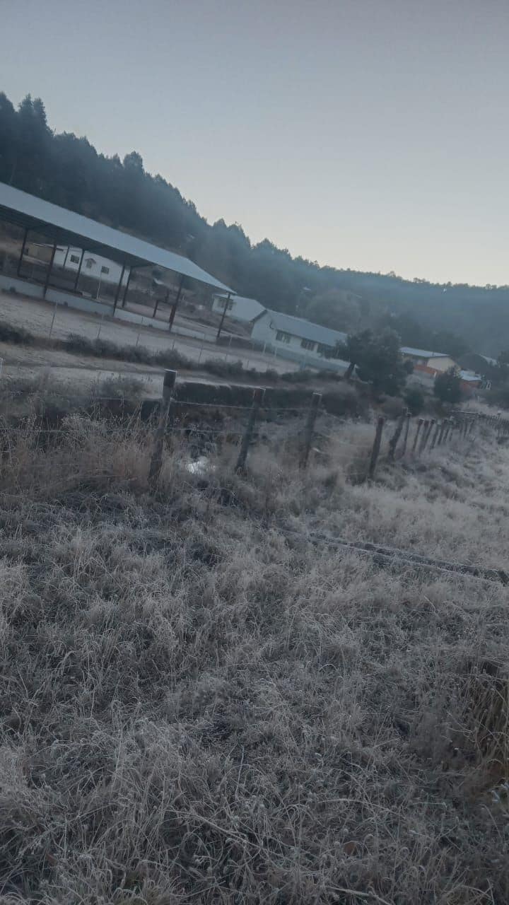 ¡En San Juanito amanecieron a -14.8 grados! Ocasiona masa de aire polar temperaturas gélidas en gran parte del estado